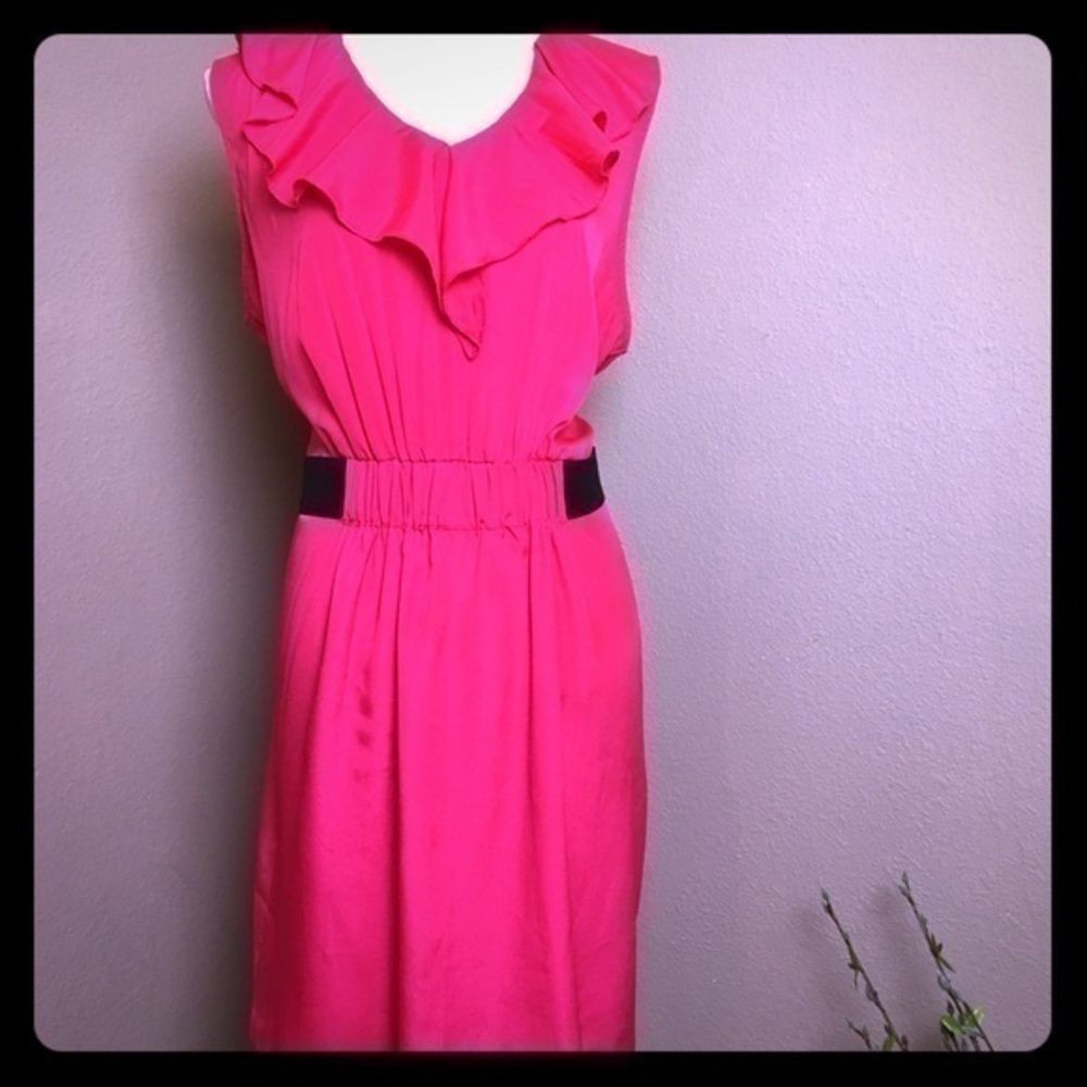 NWT Mis Tina Ruffle Pink And Black Dress, Size XXL